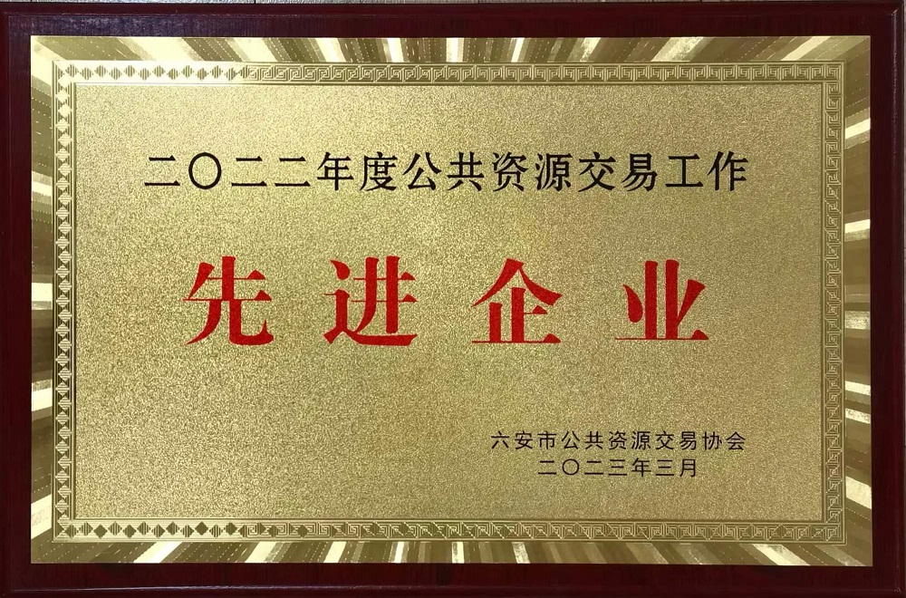 2022年度六安市公共資源交易工作先進企業(yè)202303.jpg
